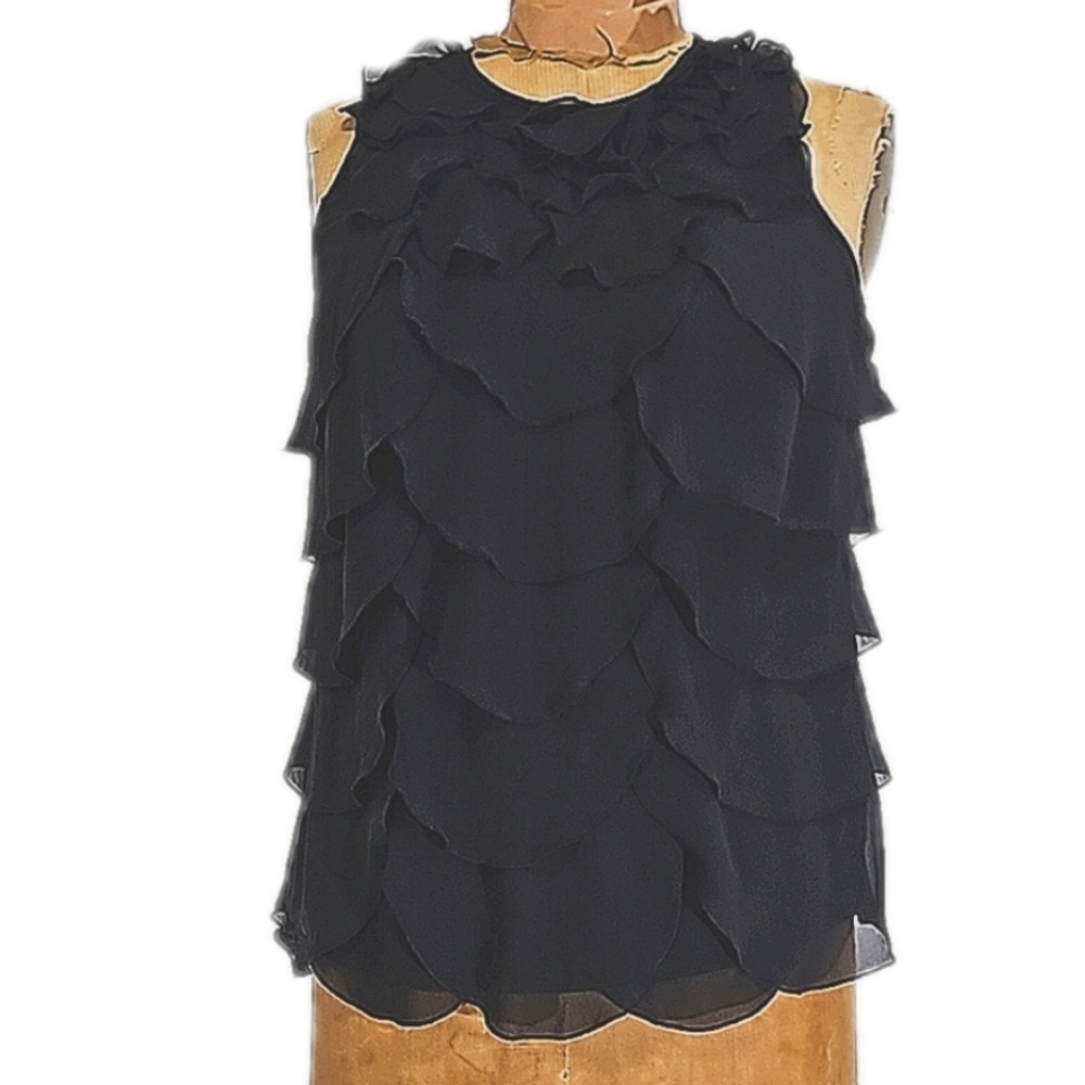 Ann Taylor Silk Ruffled Black top which I am too fat to even get over my head